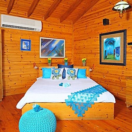 The Golan Cabin Villa Had Nes Dış mekan fotoğraf
